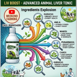 Liv Boost 1L