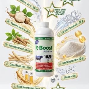R-Booster Advance 1L