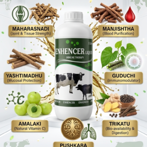 Enhancer 1ltr