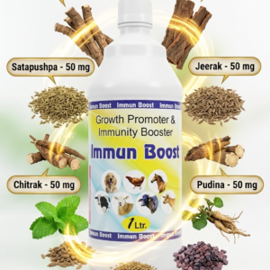 Immuno Boost 1L